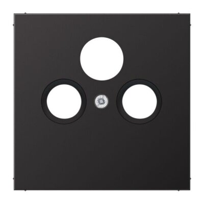 dark (lack. Aluminium)