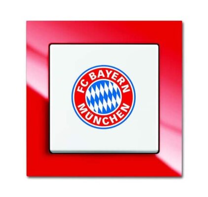 Fanschalter