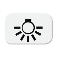 BUSCH-JAEGER Symbol 2525 LI-214 Licht alpinweiß