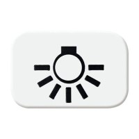 BUSCH-JAEGER Symbol 2525 LI-214 Licht alpinweiß