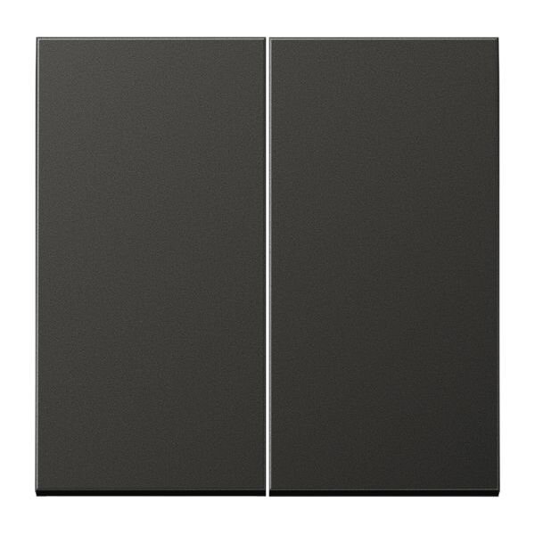 JUNG Serienwippe AL2995AN f&uuml;r Serienschalter Aluminium lackiert Serie LS anthrazit (lackiertes Aluminium)