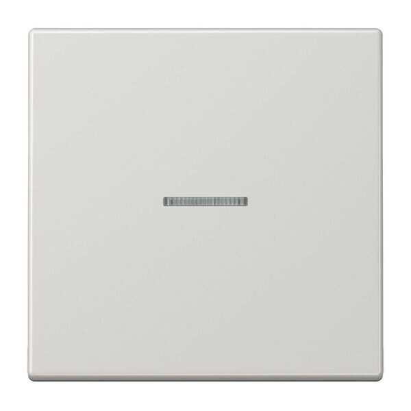 JUNG Wippe LS990KO5LG f&uuml;r Kontrollschalter