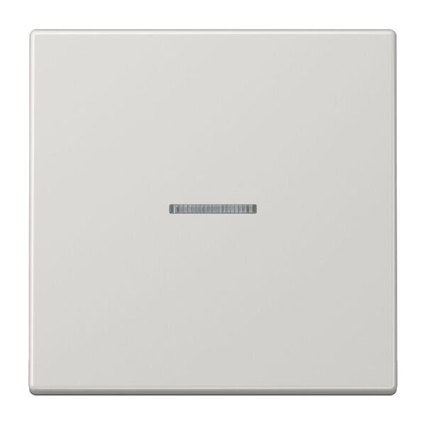 JUNG Wippe LS990KO5LG f&uuml;r Kontrollschalter