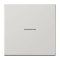 JUNG Wippe LS990KO5LG für Kontrollschalter