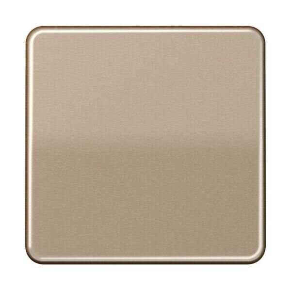 JUNG Wippe CD590GB f&uuml;r Schalter/Taster