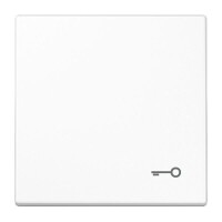 JUNG Wippe LS990TWW mit Symbol Tür Serie LS...