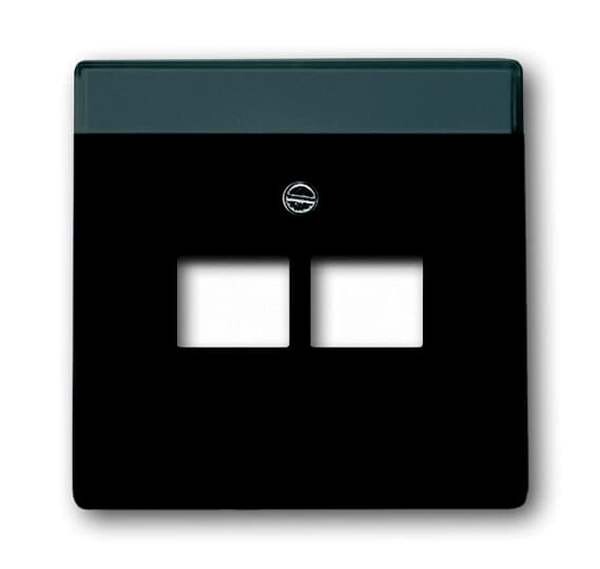 BUSCH-JAEGER Zentralscheibe 1803-02-885 schwarz matt