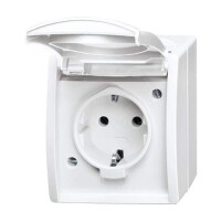 BUSCH-JAEGER Steckdose 20 EW-54 mit Klappdeckel...