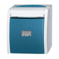 BUSCH-JAEGER Taster 2621 WN-53-201 grau/blaugrün