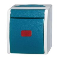 BUSCH-JAEGER Kontrollwechselschalter 2601/6 SKW-53 ocean...