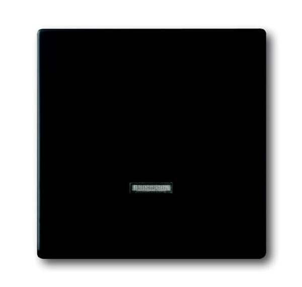 BUSCH-JAEGER Bedienelement 6543-885-101 schwarz matt