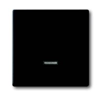 BUSCH-JAEGER Bedienelement 6543-885-101 schwarz matt