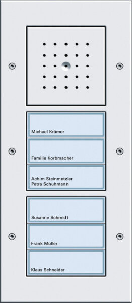 GIRA Audio-T&uuml;rstation 126866 AP 6fach T&uuml;rko reinweiss