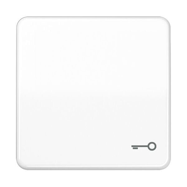 JUNG Wippe mit Symbol T&uuml;r CD590TWW Serie CD Alpinwei&szlig;