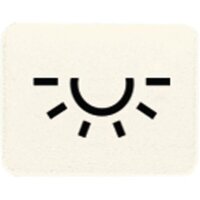 JUNG Symbol 33L Licht