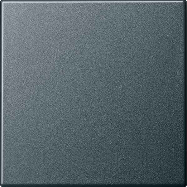 GIRA Wippe 029628 Wechsel System 55 Anthrazit