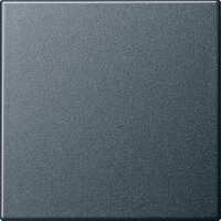 GIRA Wippe 029628 Wechsel System 55 Anthrazit