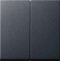 GIRA Serienwippe 029528 System 55 Anthrazit