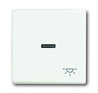 BUSCH-JAEGER Wippe 1789 LI-884 Symbol Licht...