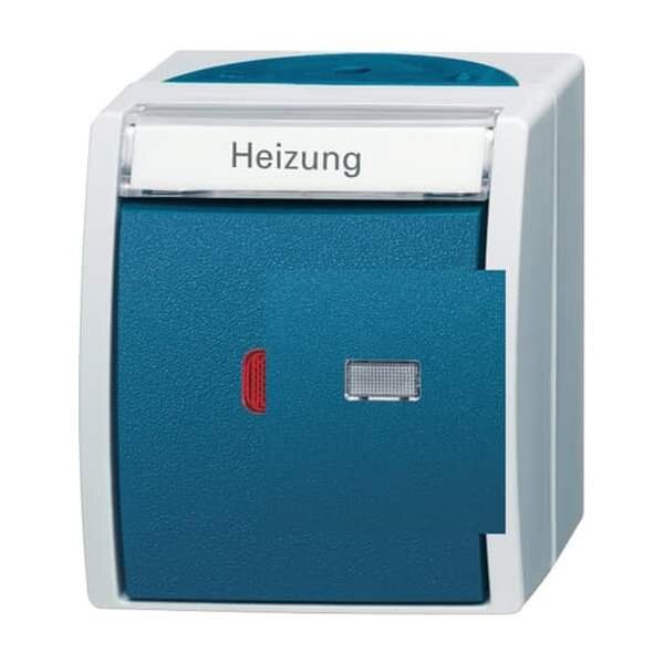 BUSCH-JAEGER Kontrollwechselschalter 2601/6 SKWNH-53 Ocean grau/blaugr&uuml;n