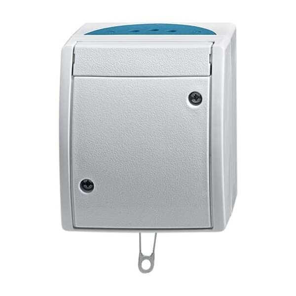 BUSCH-JAEGER Zentralwechselschalter 2610/6 W-53 ocean 10A 1polig gr/blgr