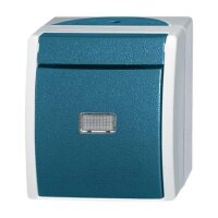 BUSCH-JAEGER Taster 2621 W-53-206 ocean 10A 1polig gr/blgr