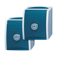 BUSCH-JAEGER Steckdose 20/20 EWSL-53 ocean PK= 2Stck gr/blgr