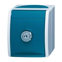 BUSCH-JAEGER Steckdose 20 EWSL-53 ocean grau/blaugrün