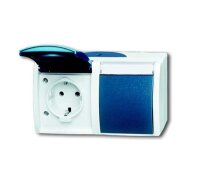 BUSCH-JAEGER Steckdose 20/2 EWN-53 ocean waagerecht gr/blgr