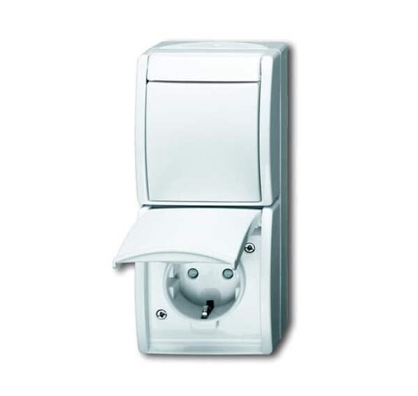 BUSCH-JAEGER Kombination 2601/6/20 EBW-54 Steckdose/Wippschalter