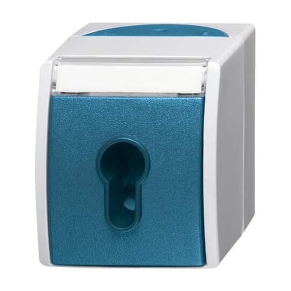 BUSCH-JAEGER Schl&uuml;sselschalter 2733 SLW-53 ocean 10A 1polig gr/blgr