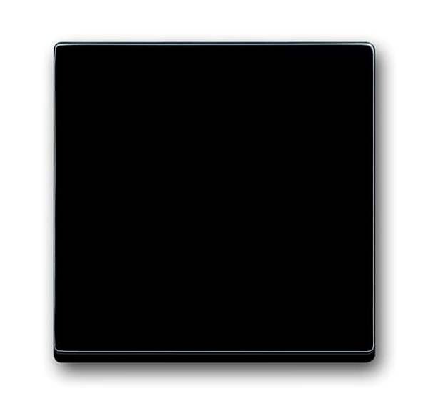 BUSCH-JAEGER Wippe 1786-81 RAL7021 anthrazit