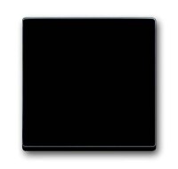 BUSCH-JAEGER Wippe 1786-81 RAL7021 anthrazit