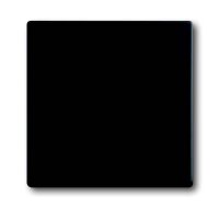 BUSCH-JAEGER Wippe 1786-885 schwarz matt schwarz matt