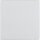 BERKER Wippe 16206089 polarweiss samt
