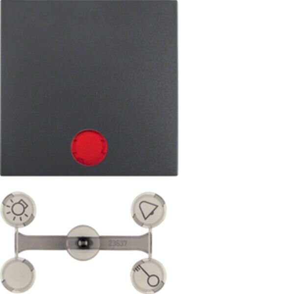 BERKER Wippe 16211606 anthrazit matt