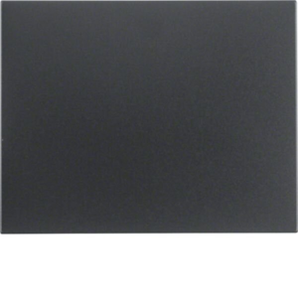 BERKER Wippe 14057006 anthrazit matt