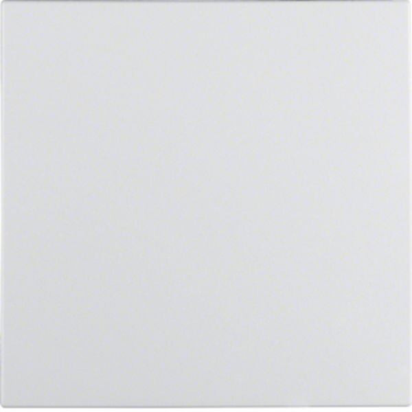 BERKER Wippe 16201909 polarweiss matt