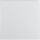 BERKER Wippe 16201909 polarweiss matt