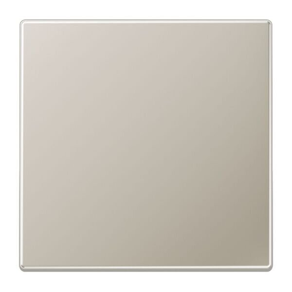 JUNG Wippe ES2990 f&uuml;r Schalter/Taster Serie LS Edelstahl