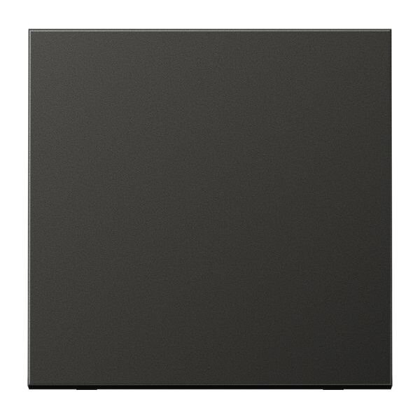 JUNG Wippe AL2990AN f&uuml;r Schalter/Taster Aluminium lackiert Serie LS anthrazit (lackiertes Aluminium)