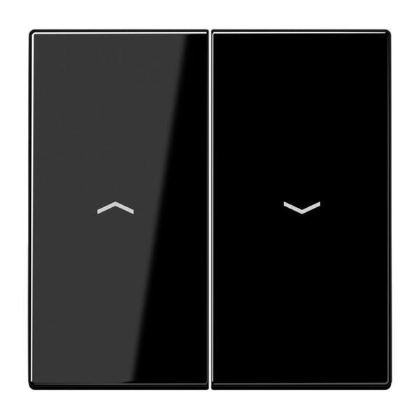 JUNG Serienwippe LS995PSW f&uuml;r Jalousie-Schalter/-Taster