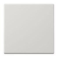 JUNG Wippe LS990LG für Schalter/Taster