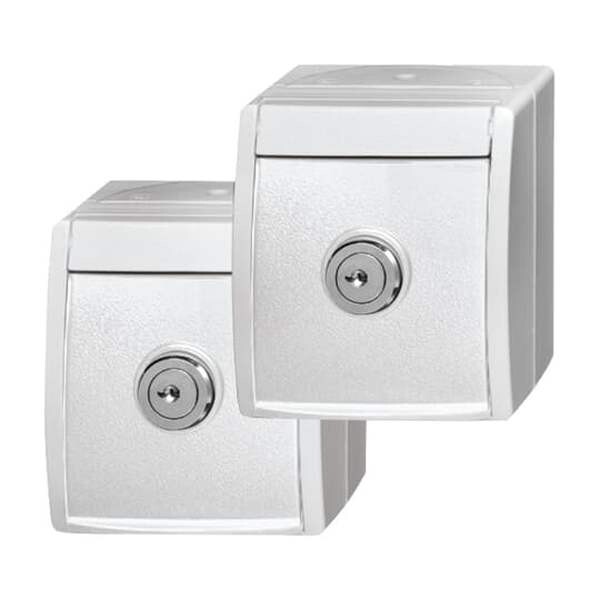 BUSCH-JAEGER Steckdose SCHUKO 20/20 EWSL-54 alpinwei&szlig;