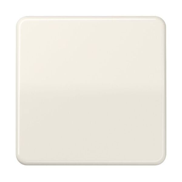 JUNG Wippe CD590BF f&uuml;r Schalter/Taster