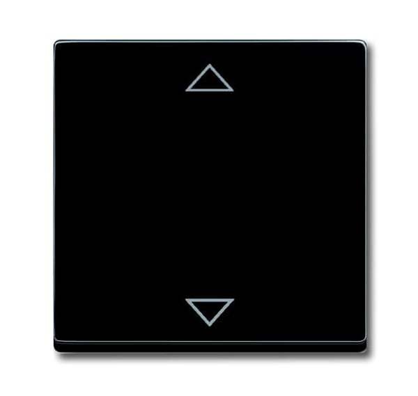 BUSCH-JAEGER Bedienelement 6430-885-102 schwarz matt