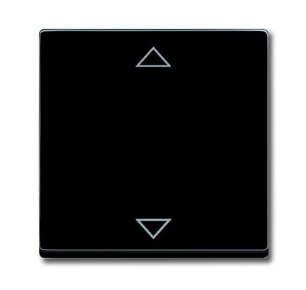 BUSCH-JAEGER Bedienelement 6430-885-102 schwarz matt