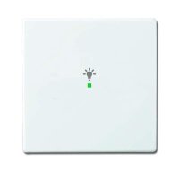 BUSCH-JAEGER Wippe 6231-10-84 1fach Symbol Licht...