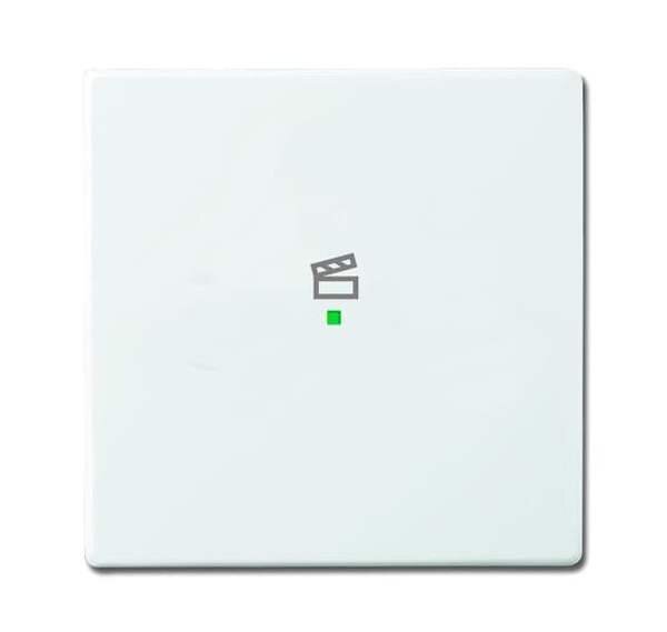 BUSCH-JAEGER Wippe 6233-10-84 1fach Symbol Szene studiowei&szlig;