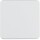 BERKER Wippe 155009 IP44 polarweiss